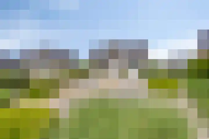 Zilvermeeuw 34 Zoutelande thumbnail 7