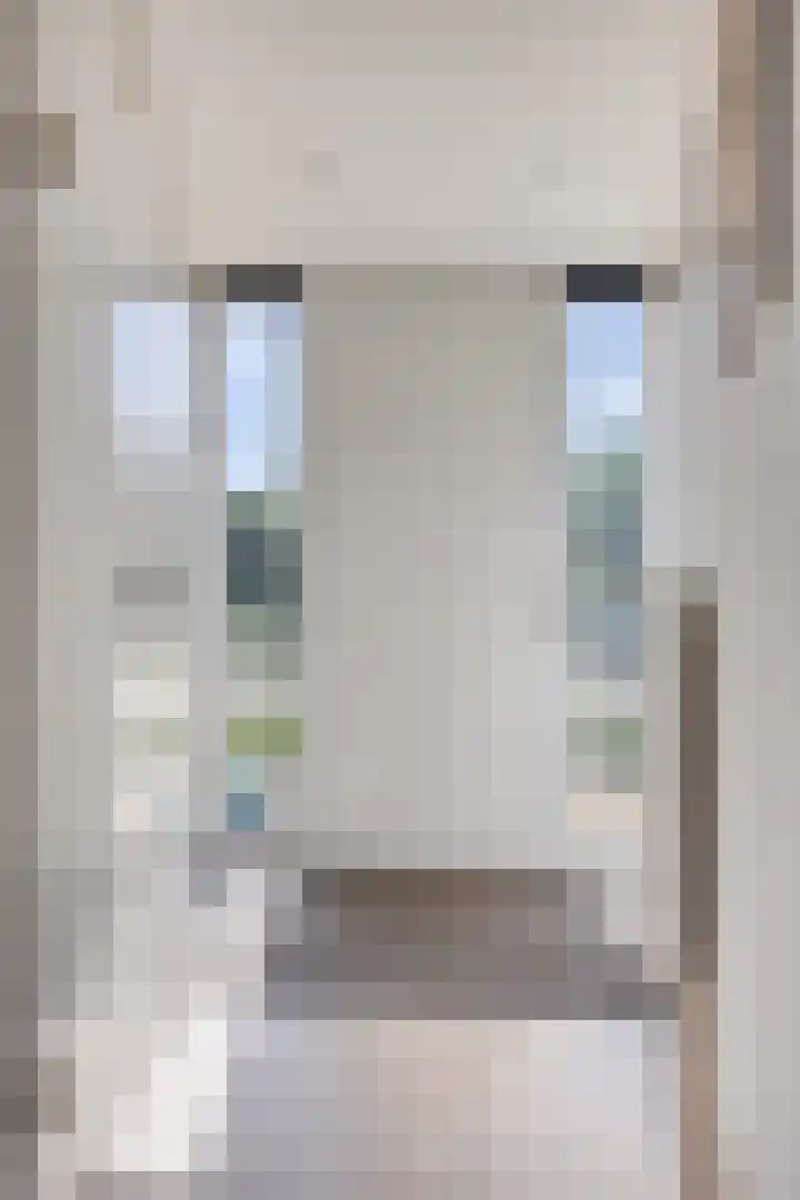 Zilvermeeuw 34 Zoutelande thumbnail 8