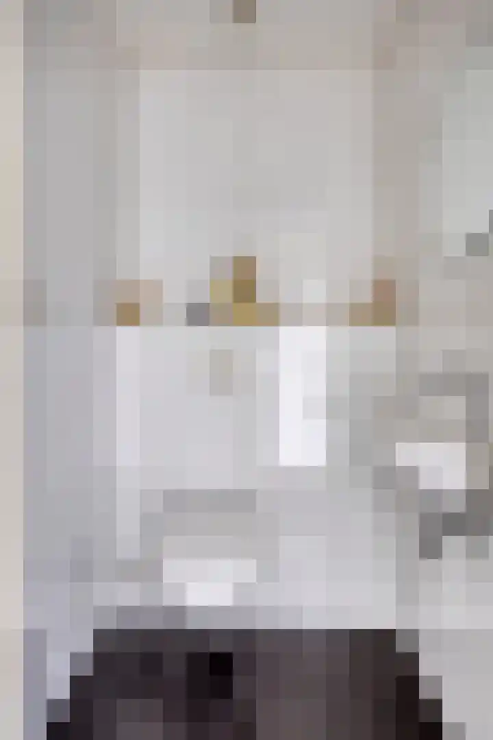 Zilvermeeuw 34 Zoutelande thumbnail 9