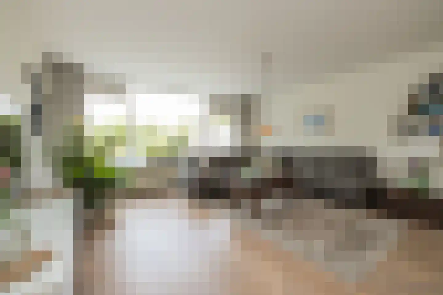 Zilvermeeuw 39 Noordwijk thumbnail 10