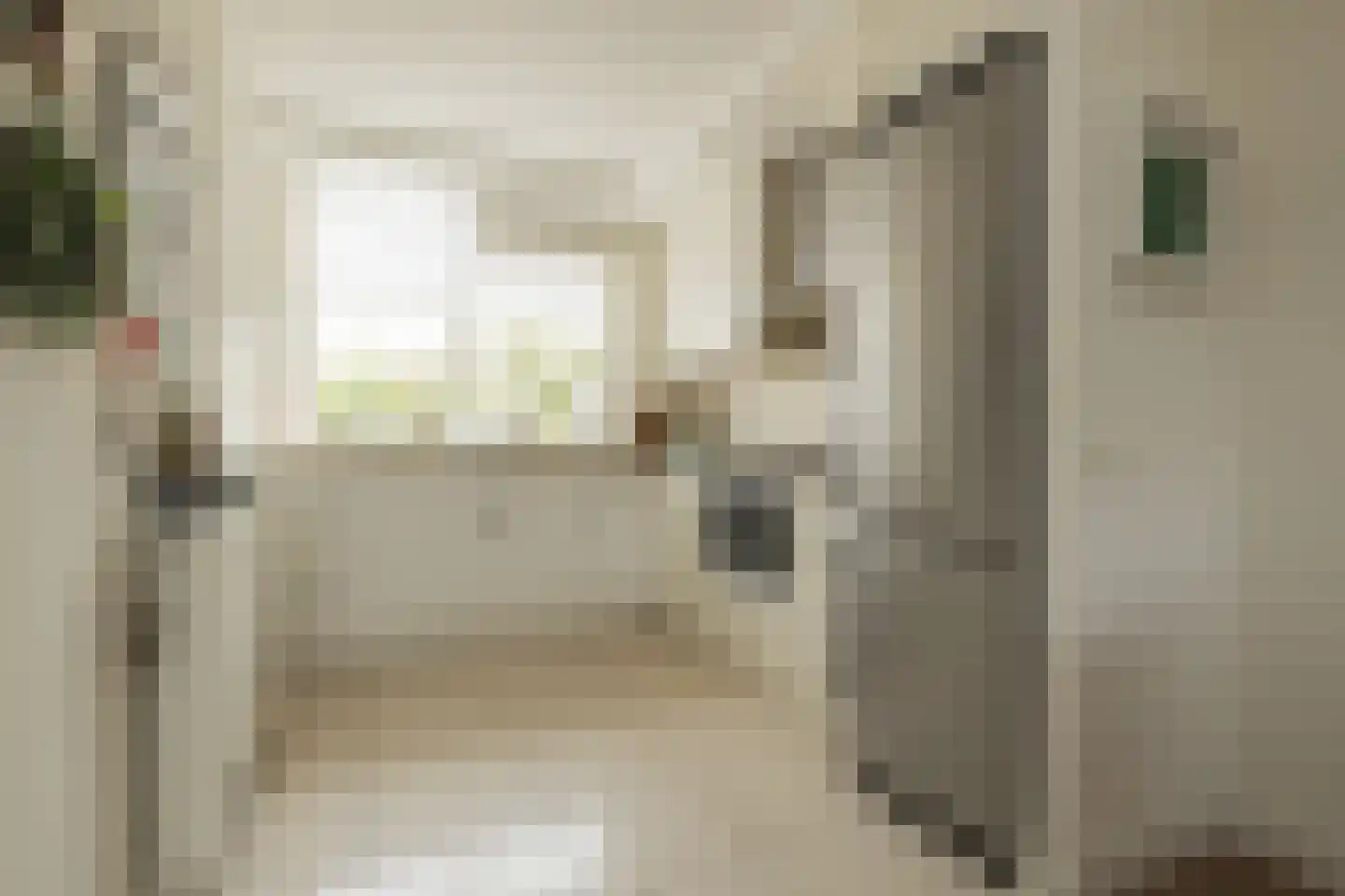 Zilvermeeuw 39 Noordwijk thumbnail 13