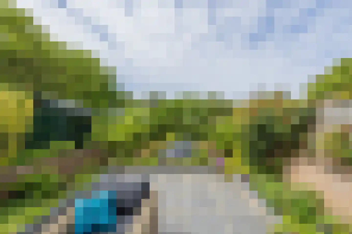 Zilvermeeuw 39 Noordwijk thumbnail 18