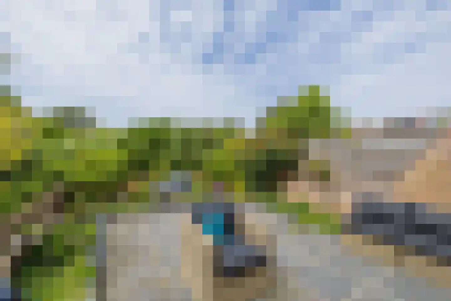 Zilvermeeuw 39 Noordwijk thumbnail 19