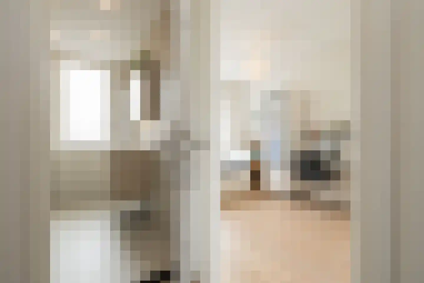 Zilvermeeuw 39 Noordwijk thumbnail 22