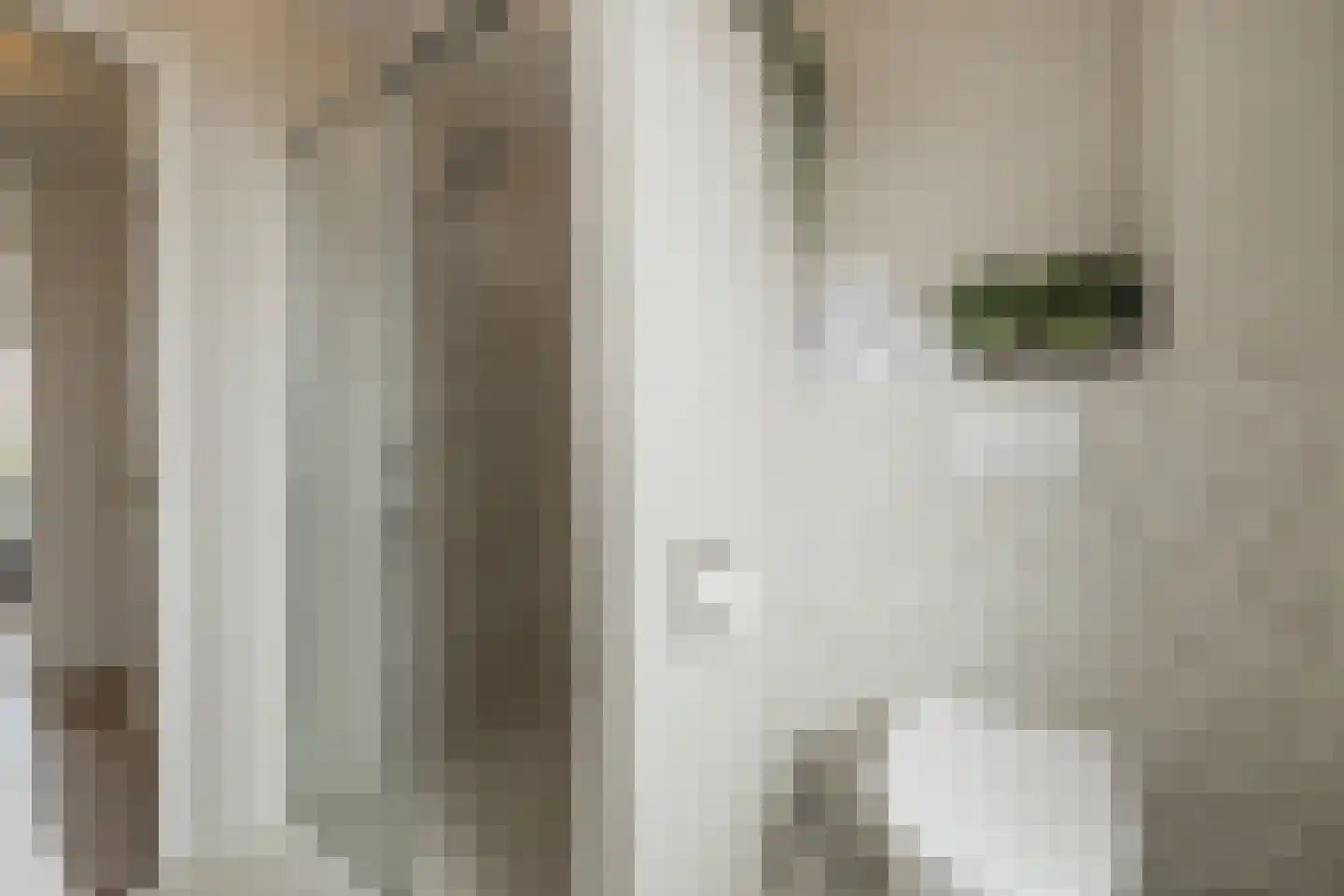 Zilvermeeuw 39 Noordwijk thumbnail 25