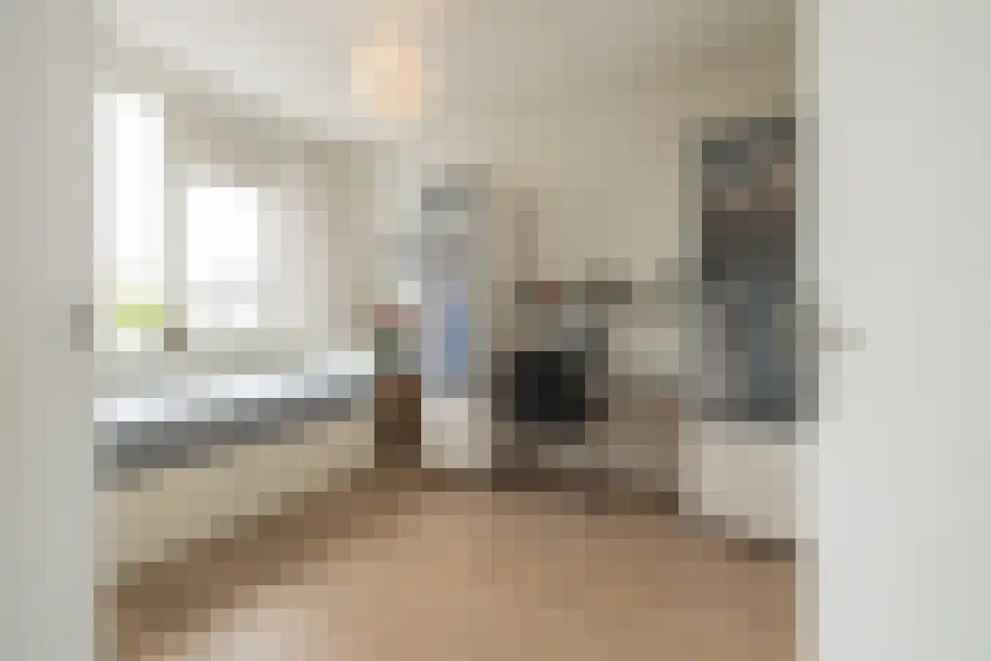 Zilvermeeuw 39 Noordwijk thumbnail 26