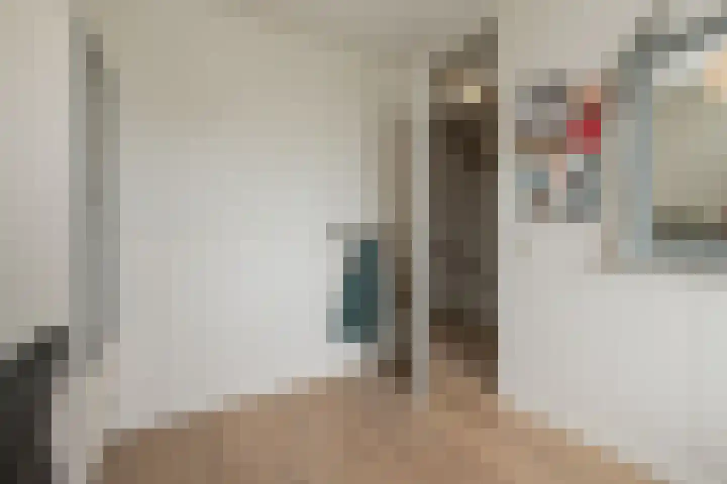 Zilvermeeuw 39 Noordwijk thumbnail 28