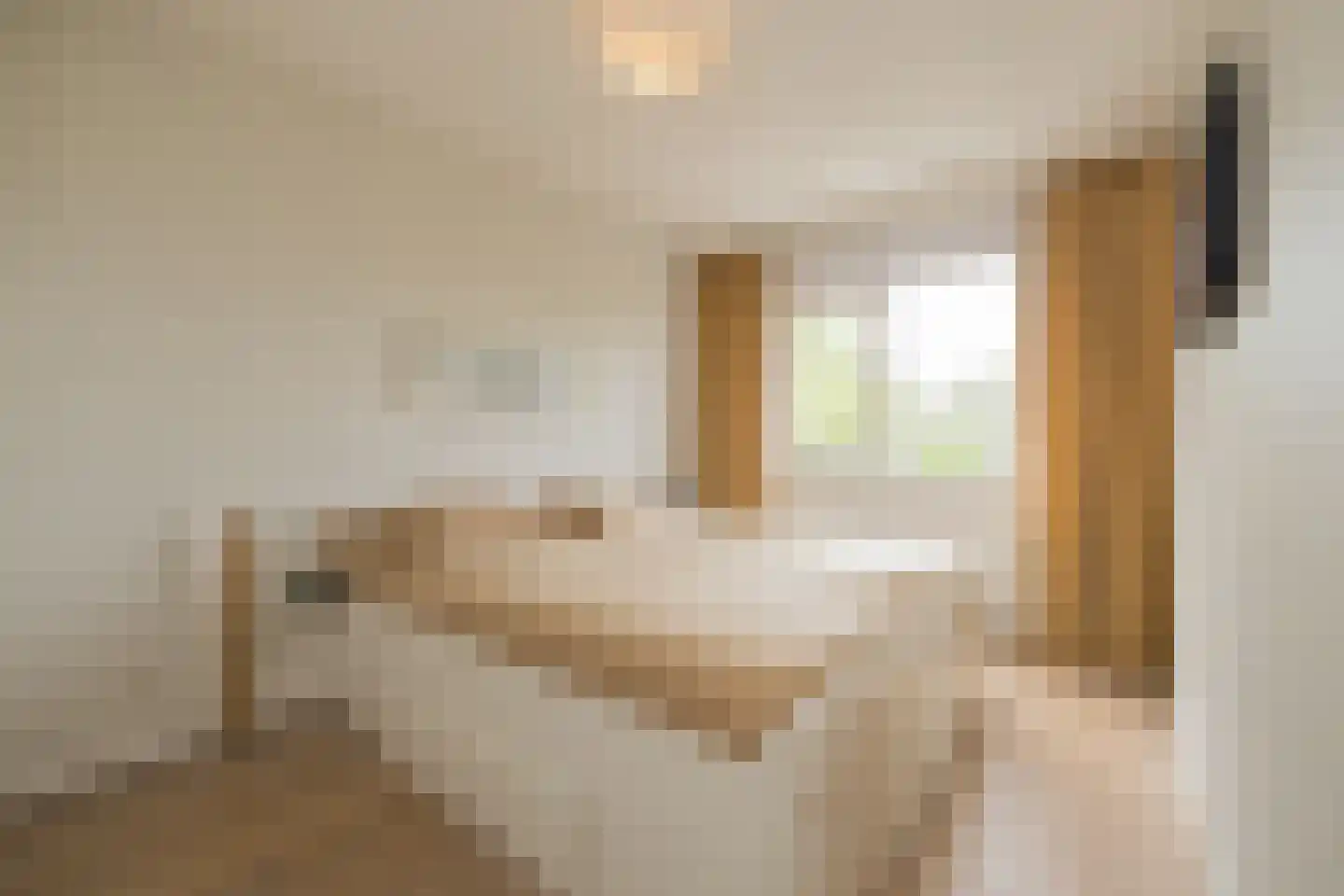 Zilvermeeuw 39 Noordwijk thumbnail 30