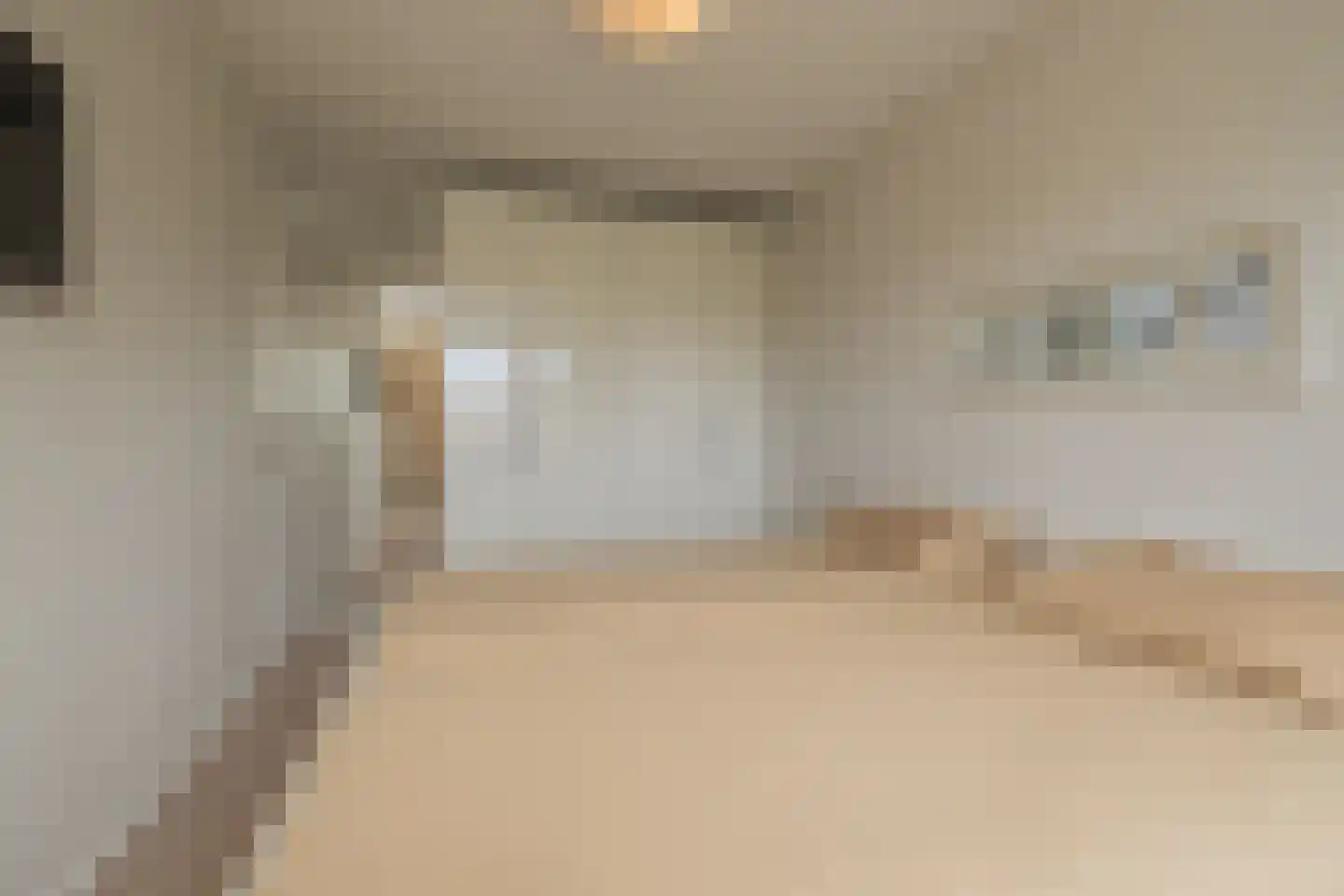 Zilvermeeuw 39 Noordwijk thumbnail 31