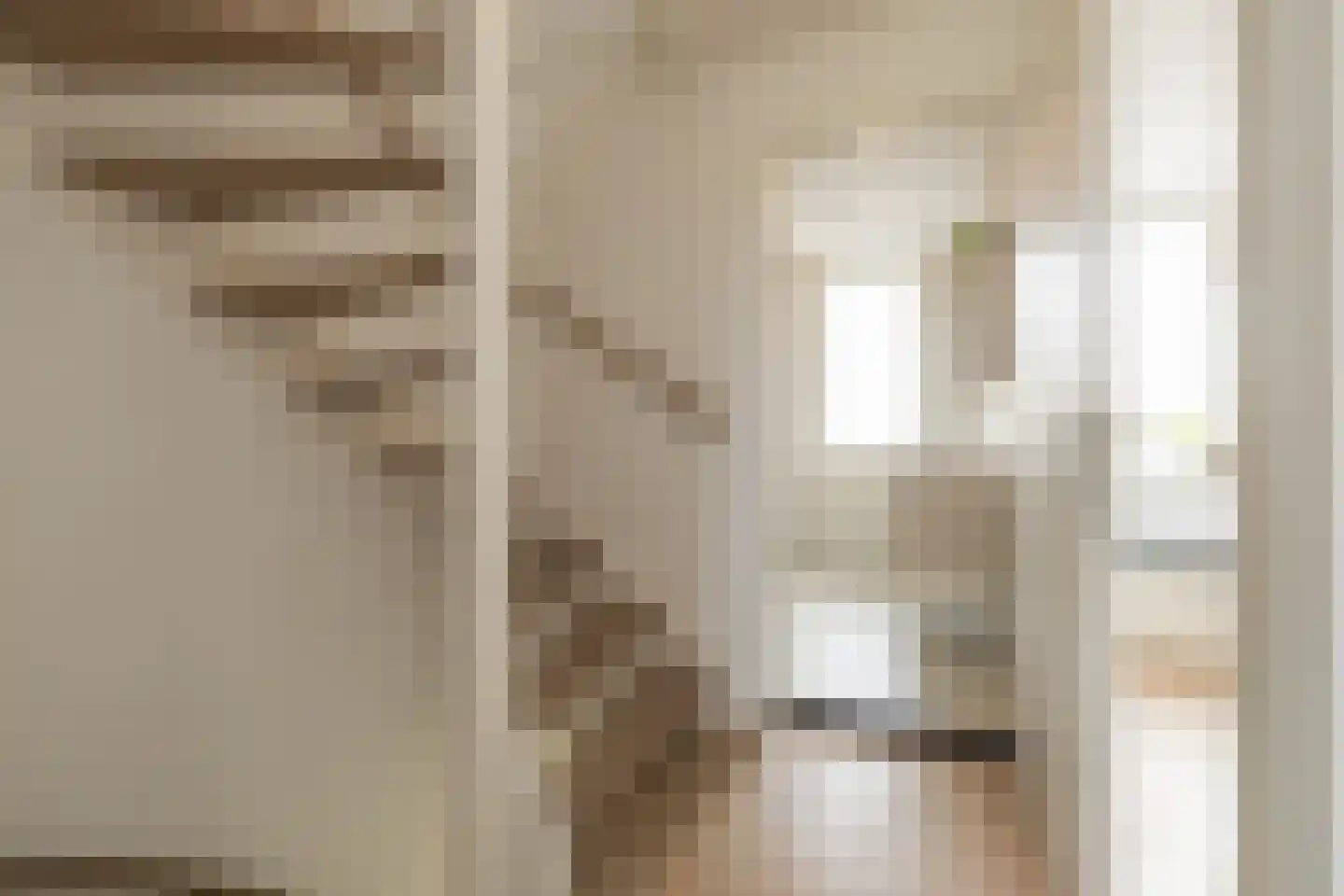 Zilvermeeuw 39 Noordwijk thumbnail 34