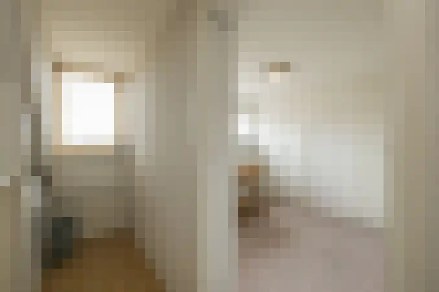 Zilvermeeuw 39 Noordwijk thumbnail 35