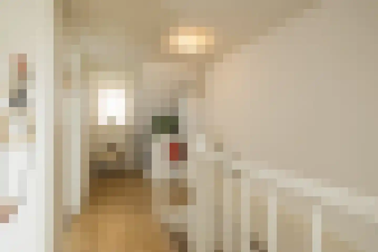 Zilvermeeuw 39 Noordwijk thumbnail 36