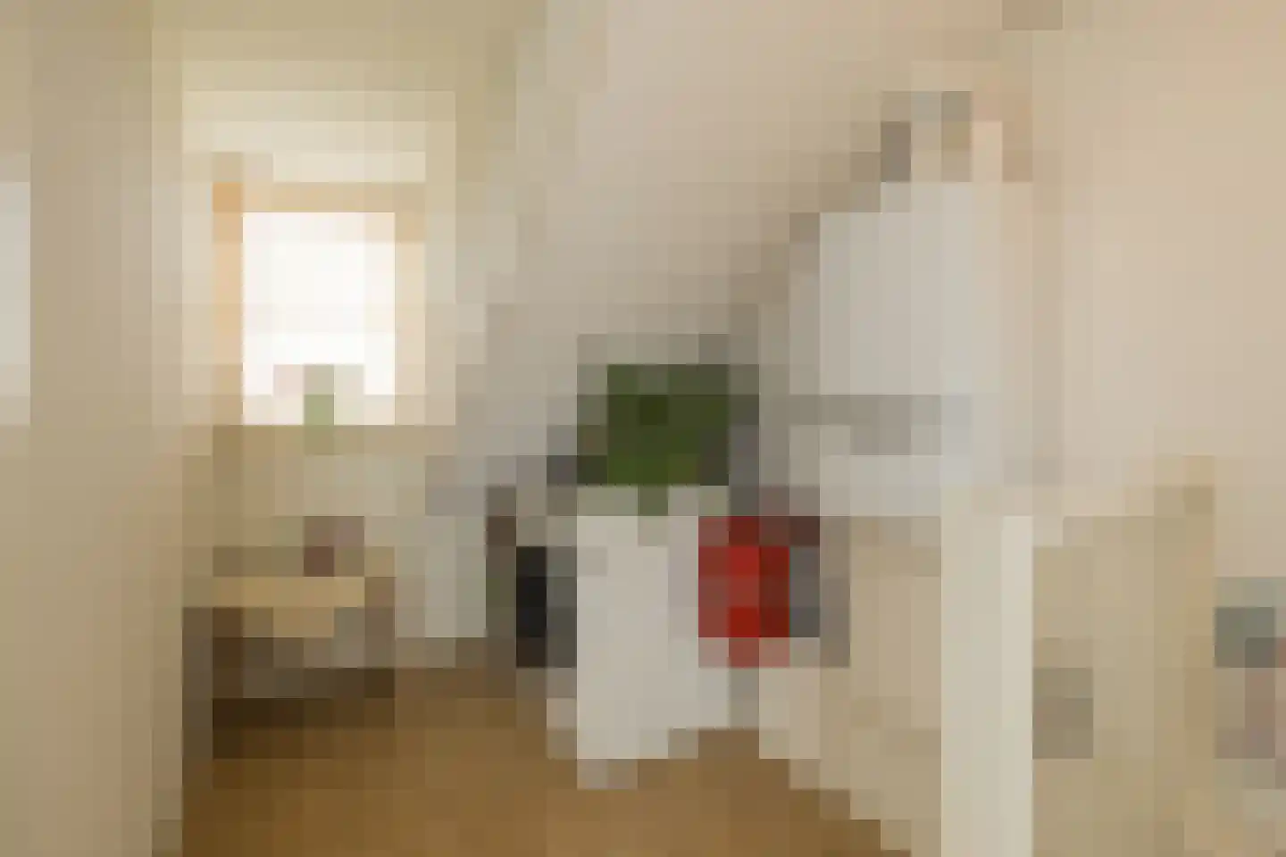 Zilvermeeuw 39 Noordwijk thumbnail 37