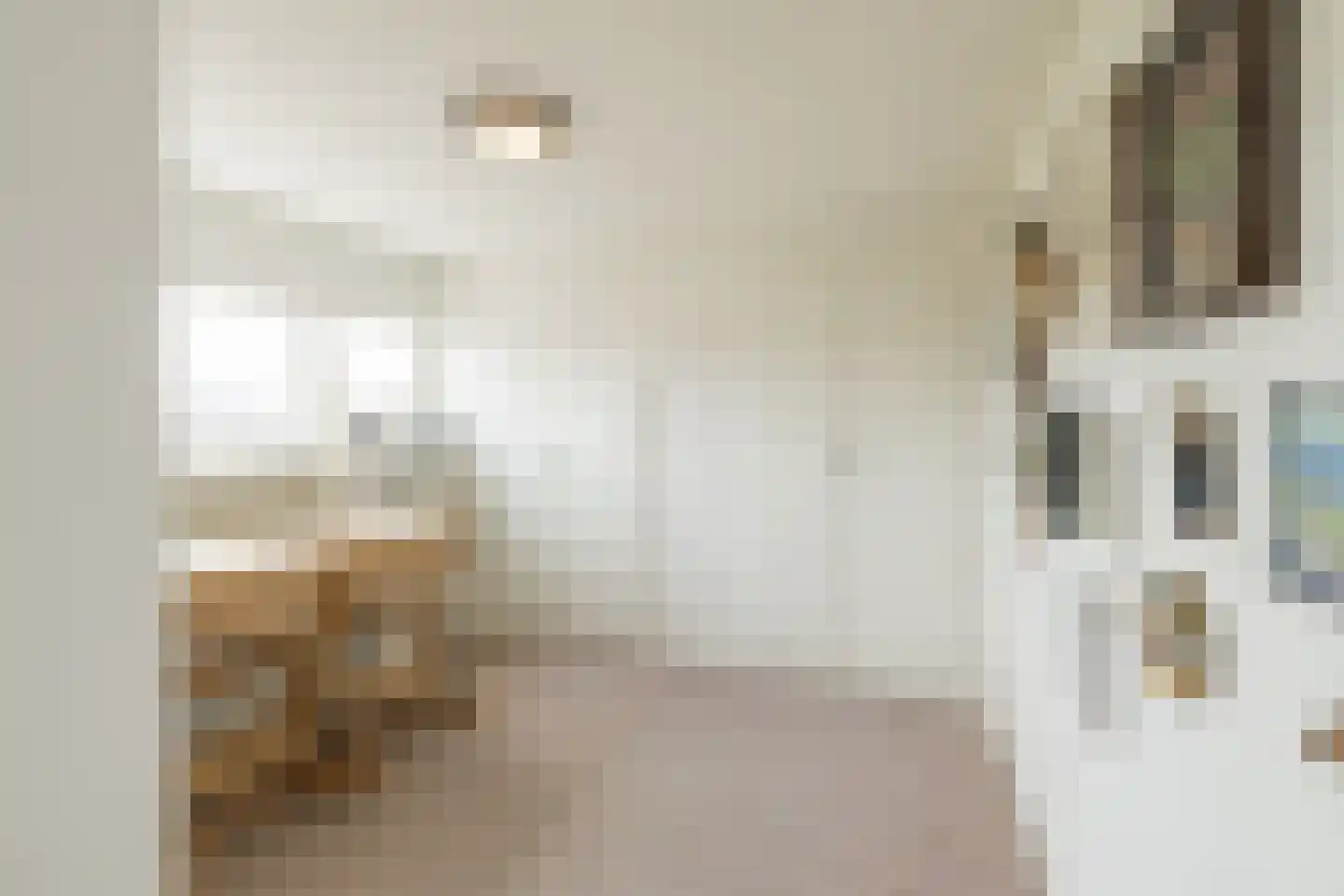 Zilvermeeuw 39 Noordwijk thumbnail 38