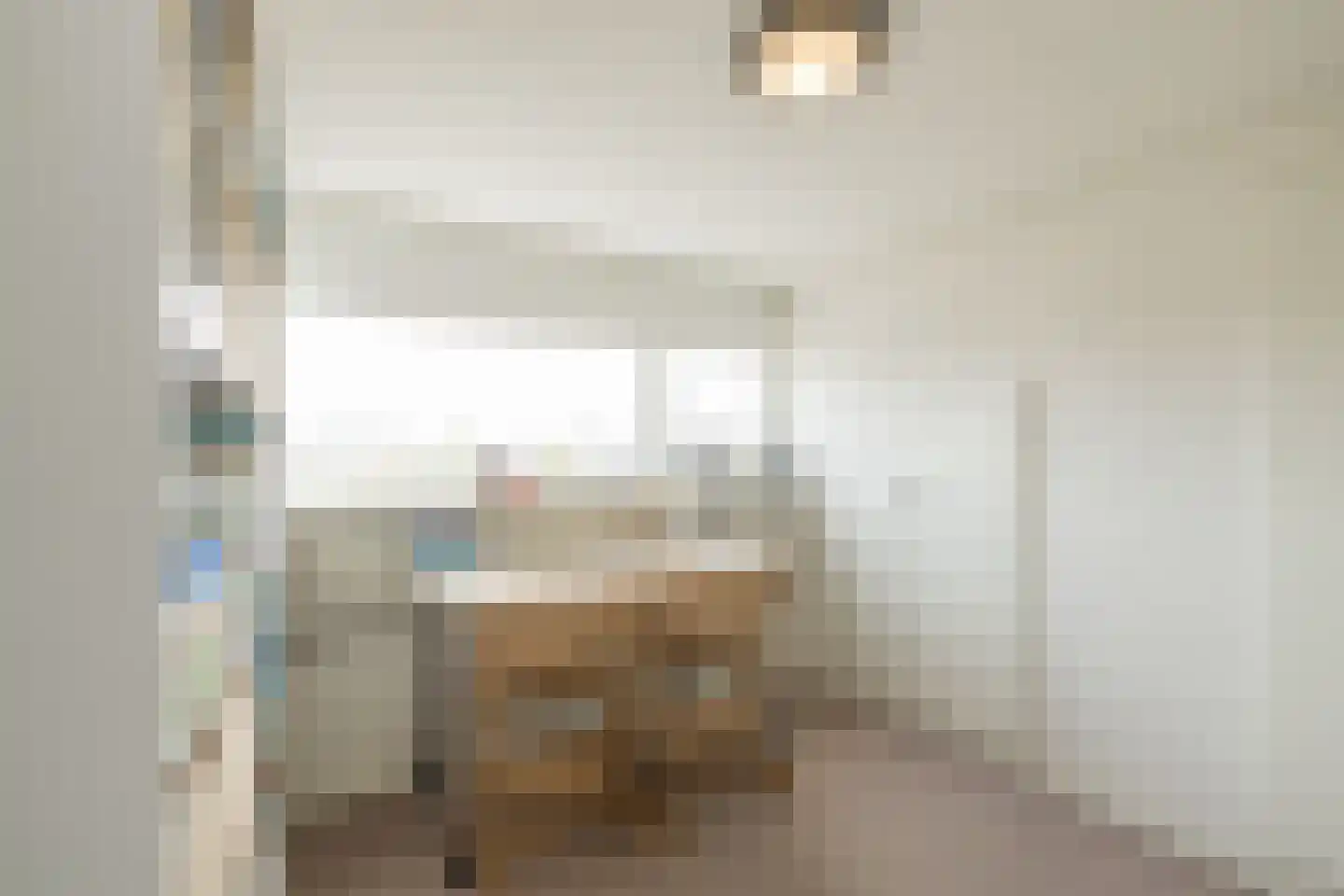 Zilvermeeuw 39 Noordwijk thumbnail 39