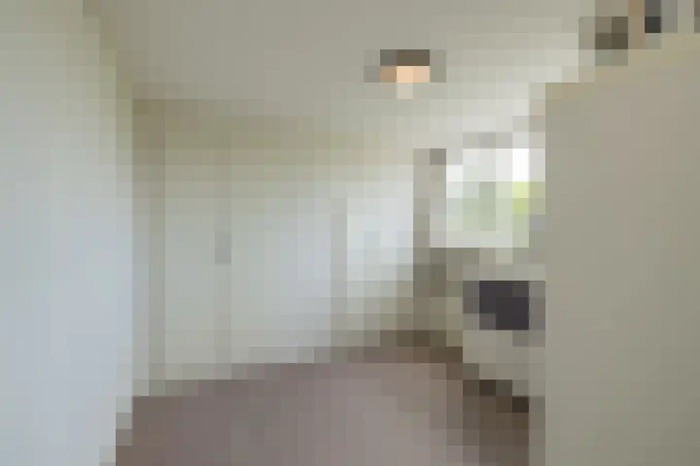 Zilvermeeuw 39 Noordwijk thumbnail 40