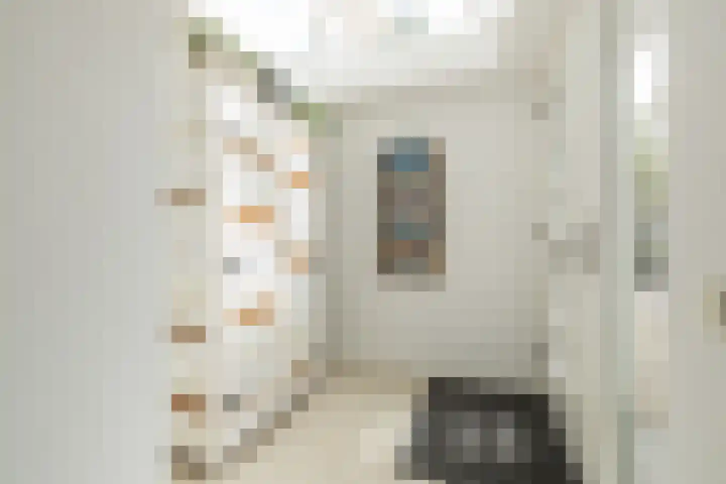 Zilvermeeuw 39 Noordwijk thumbnail 6