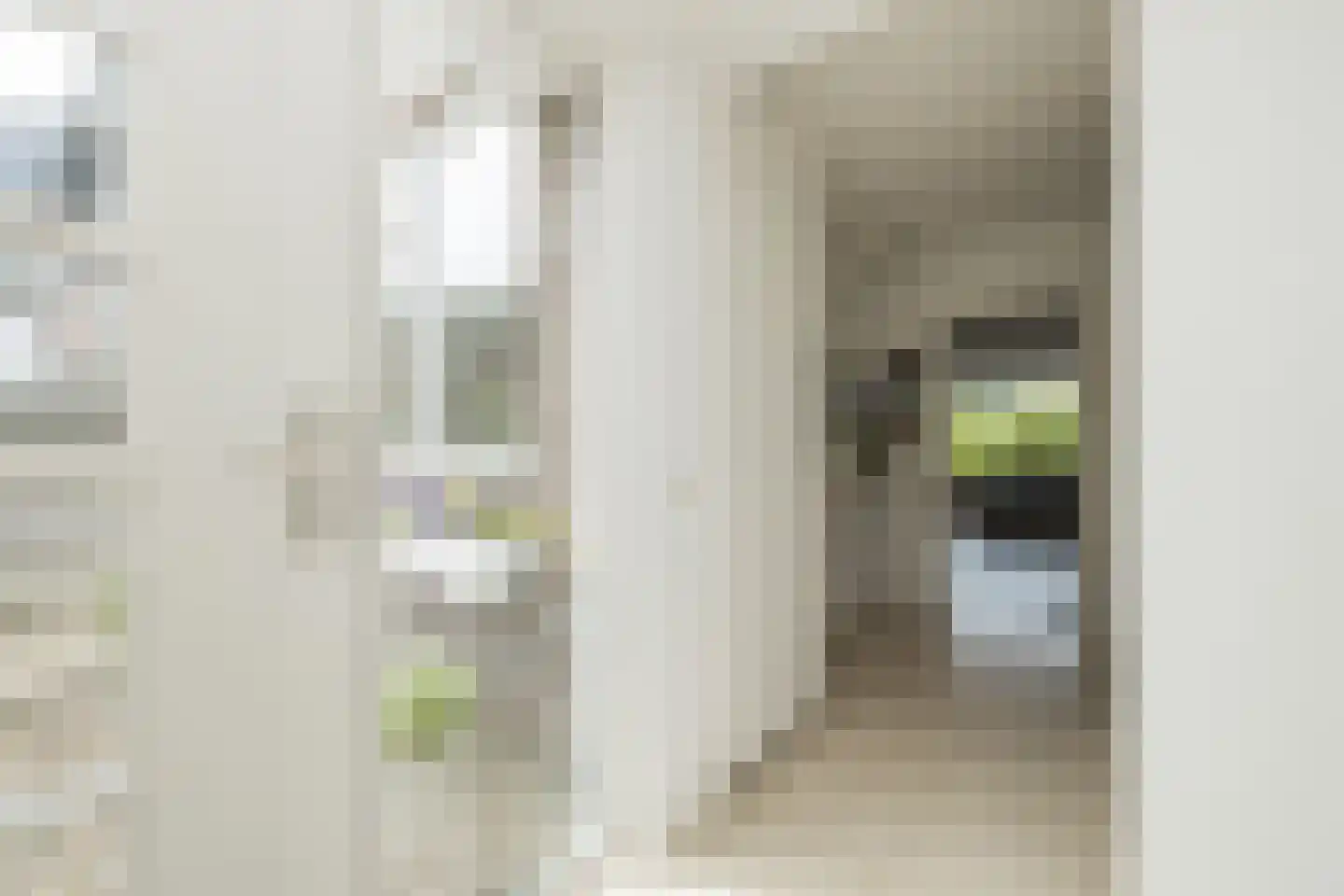 Zilvermeeuw 39 Noordwijk thumbnail 7