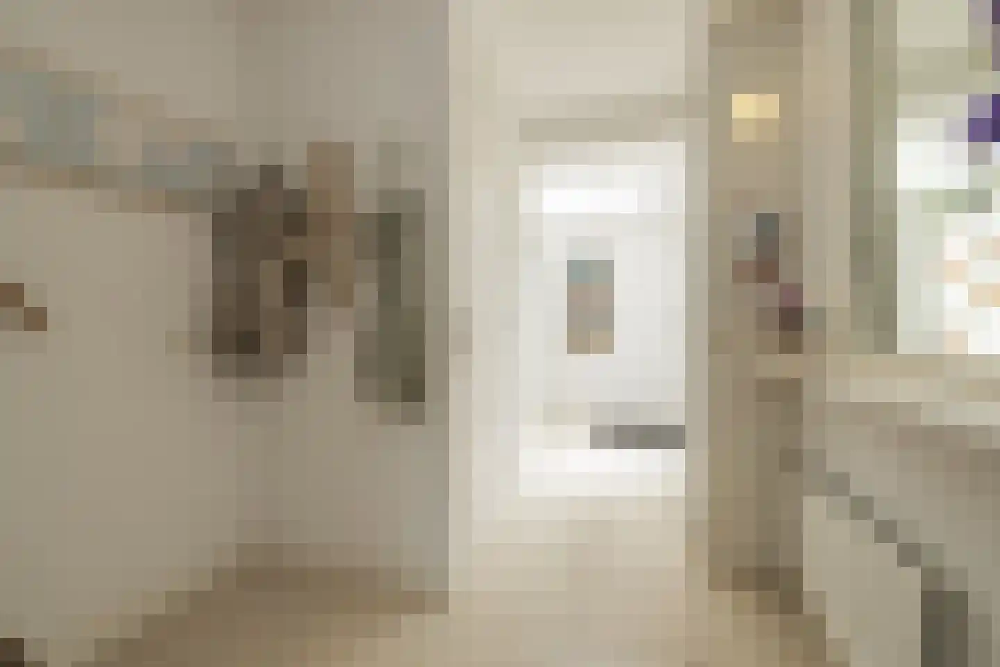 Zilvermeeuw 39 Noordwijk thumbnail 8