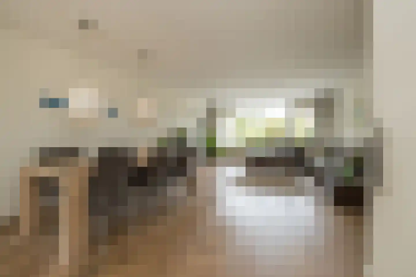Zilvermeeuw 39 Noordwijk thumbnail 9