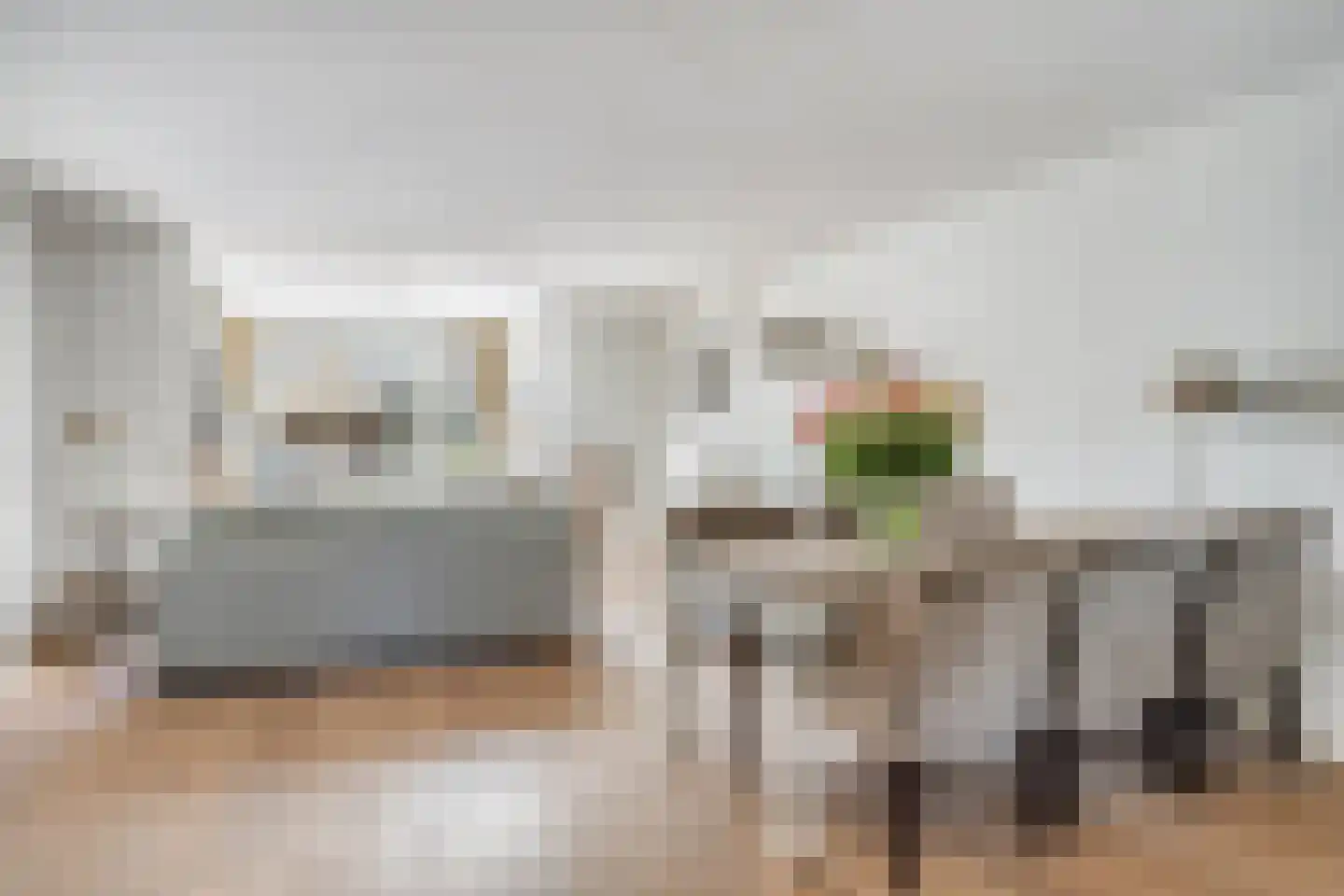 Zilvermeeuw 46 Oud-Beijerland thumbnail 13
