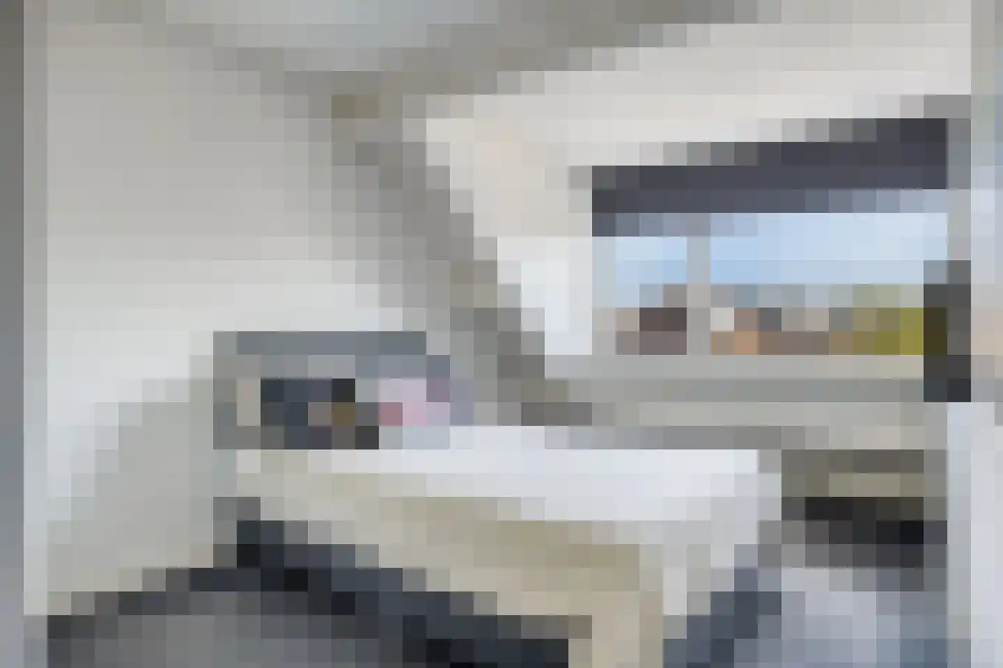 Zilvermeeuw 46 Oud-Beijerland thumbnail 30