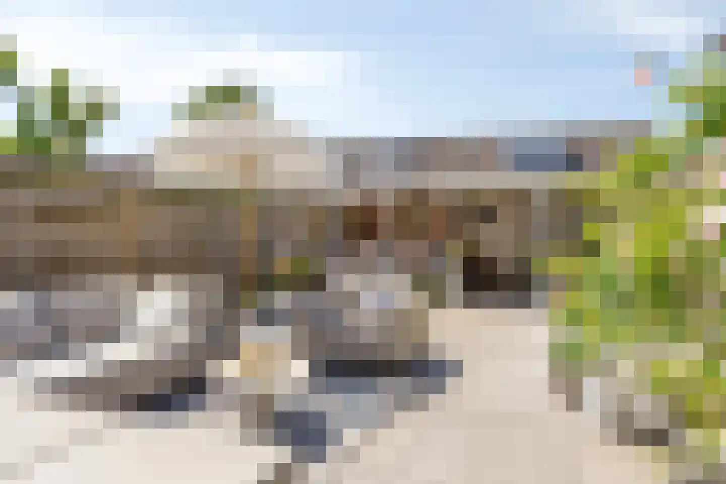 Zilvermeeuw 46 Oud-Beijerland thumbnail 32