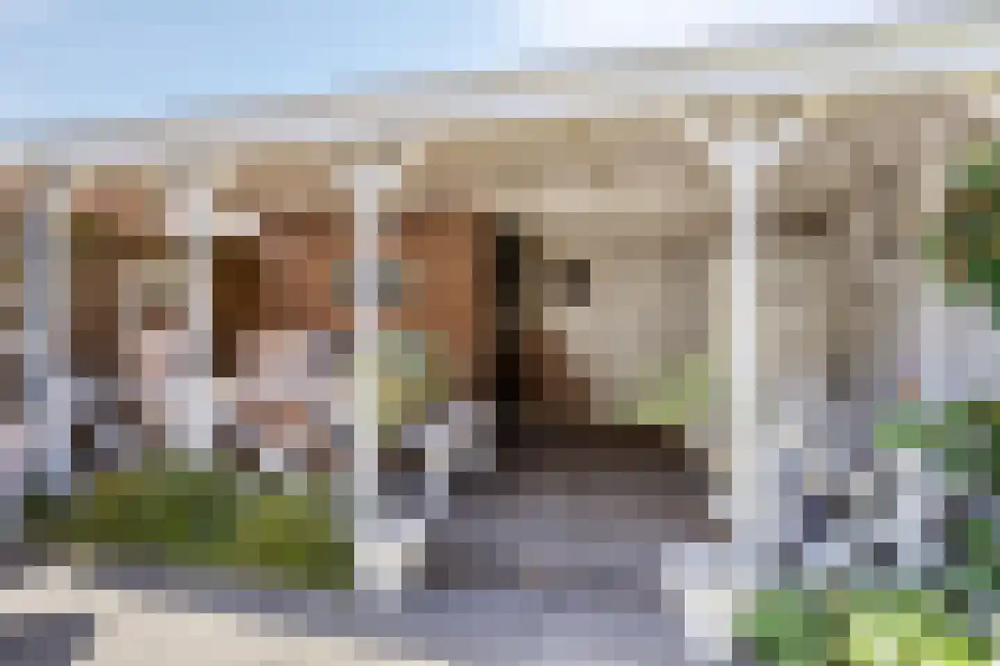 Zilvermeeuw 46 Oud-Beijerland thumbnail 35