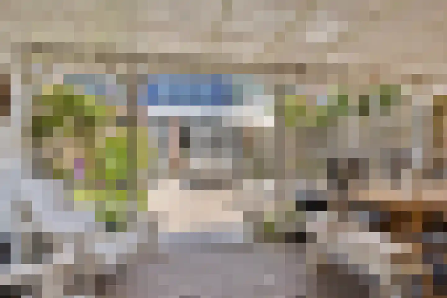 Zilvermeeuw 46 Oud-Beijerland thumbnail 36