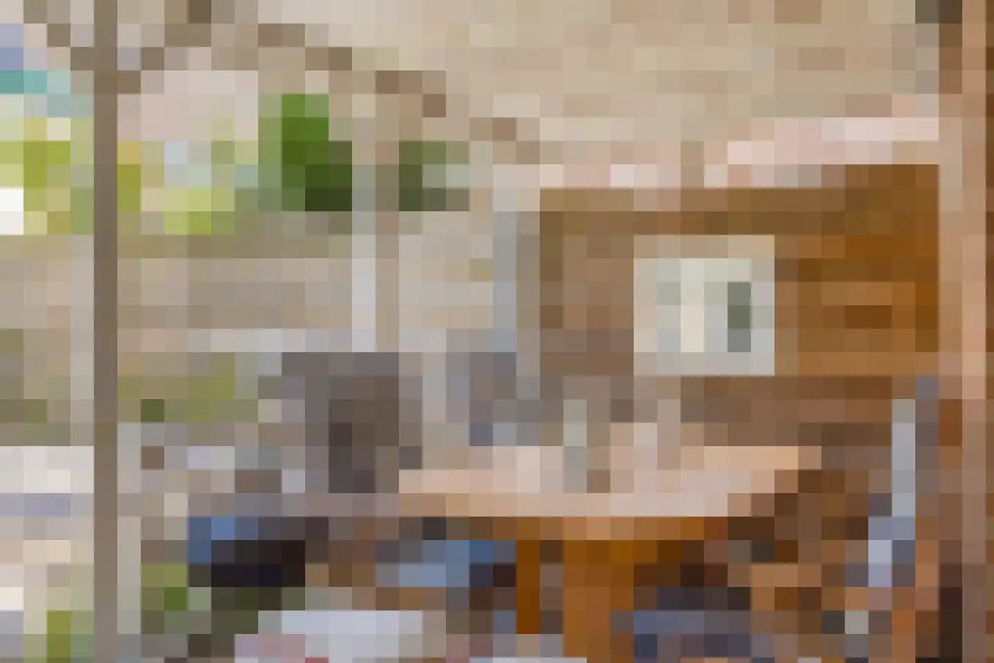 Zilvermeeuw 46 Oud-Beijerland thumbnail 37
