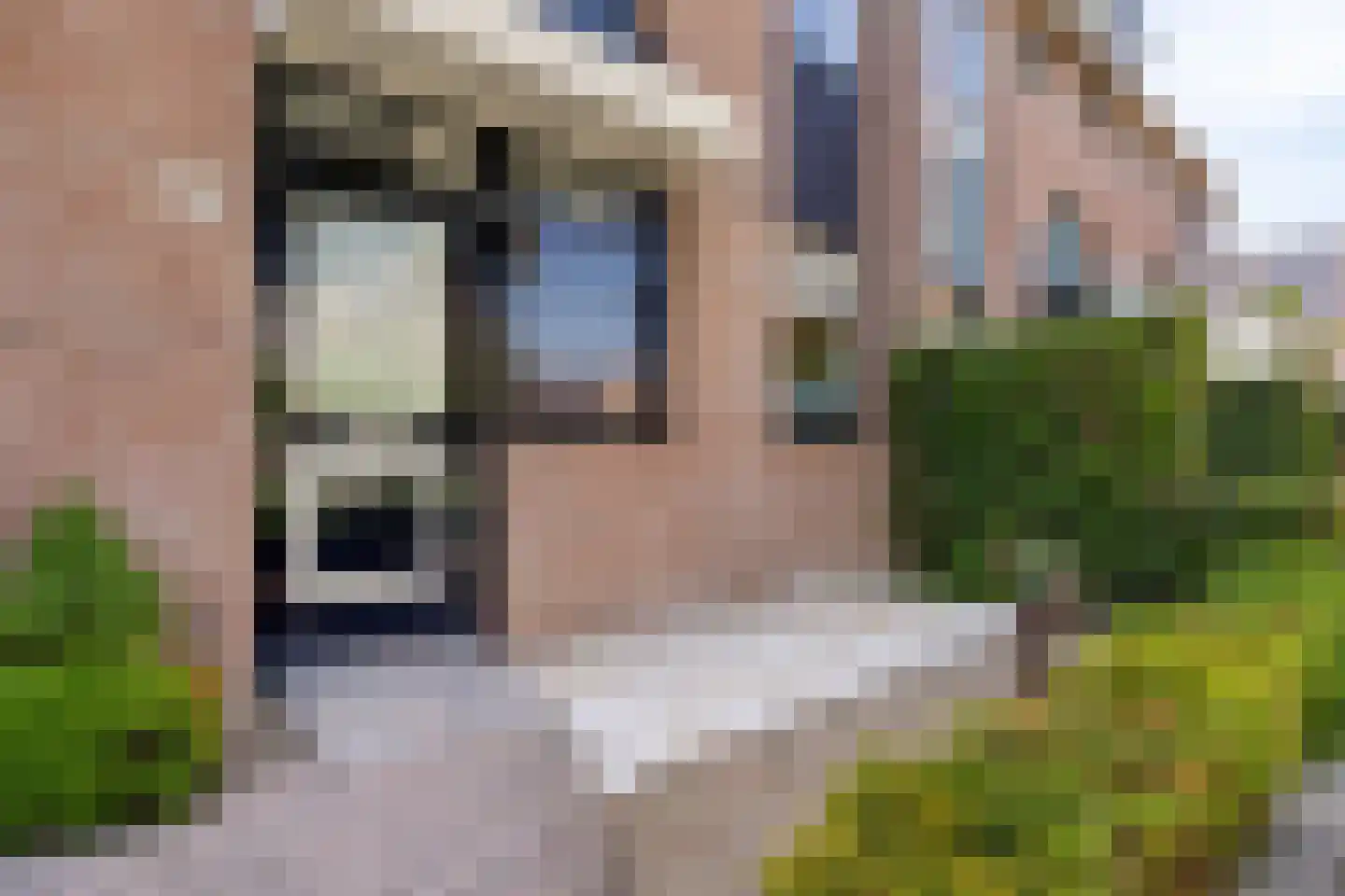 Zilvermeeuw 46 Oud-Beijerland thumbnail 4