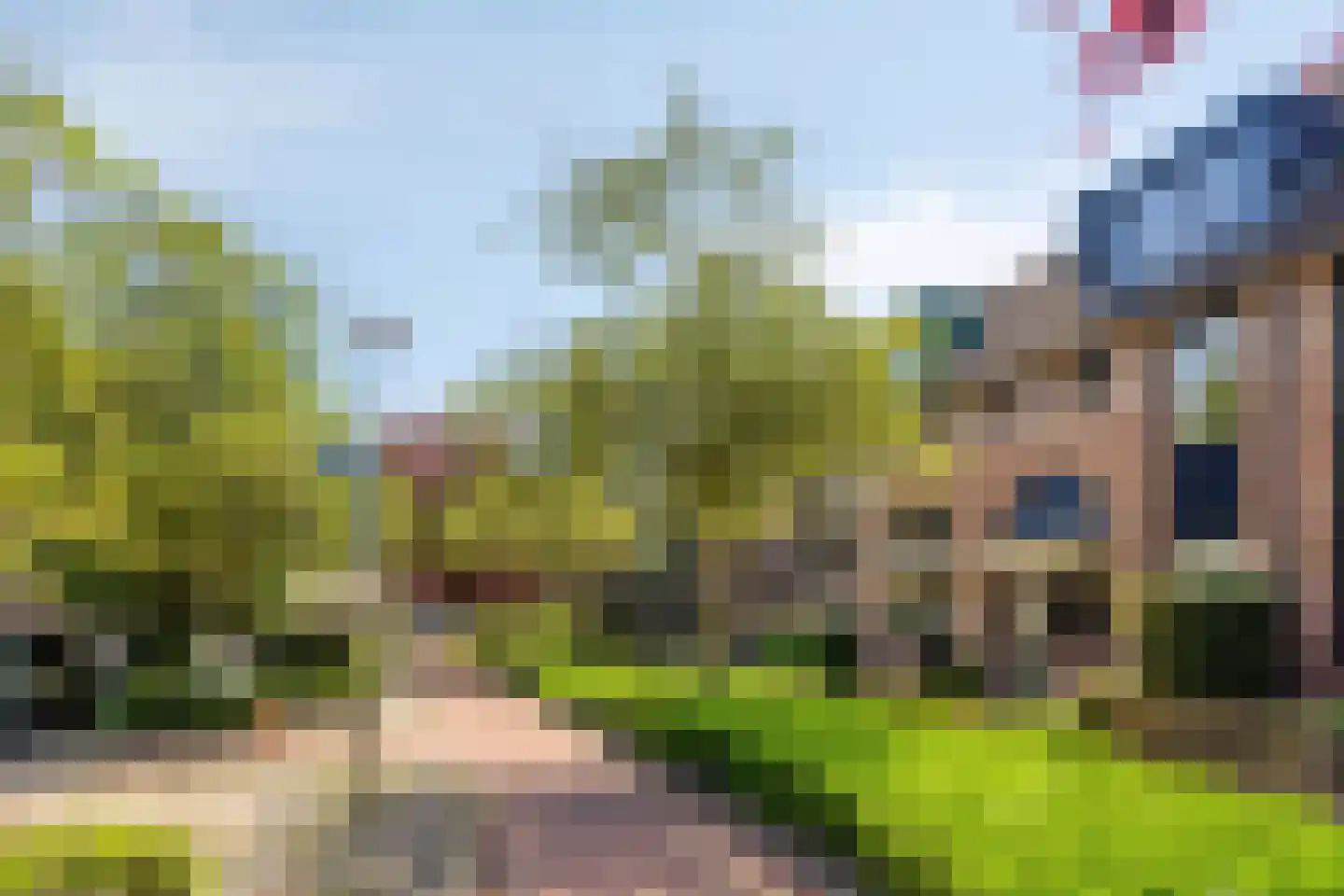 Zilvermeeuw 46 Oud-Beijerland thumbnail 40