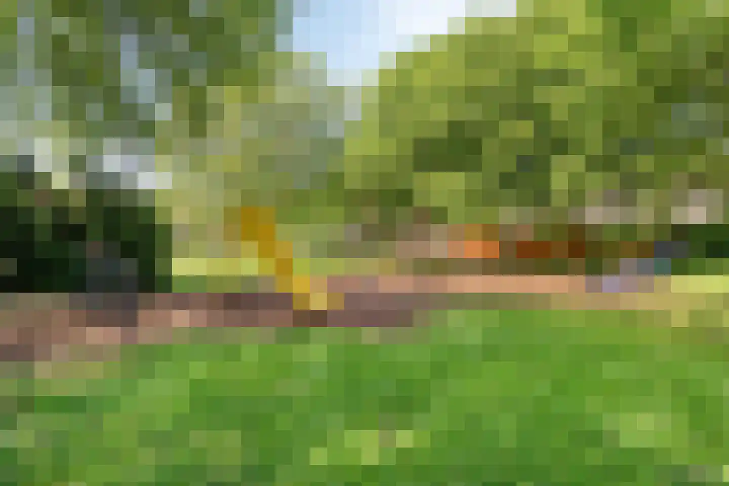 Zilvermeeuw 46 Oud-Beijerland thumbnail 41