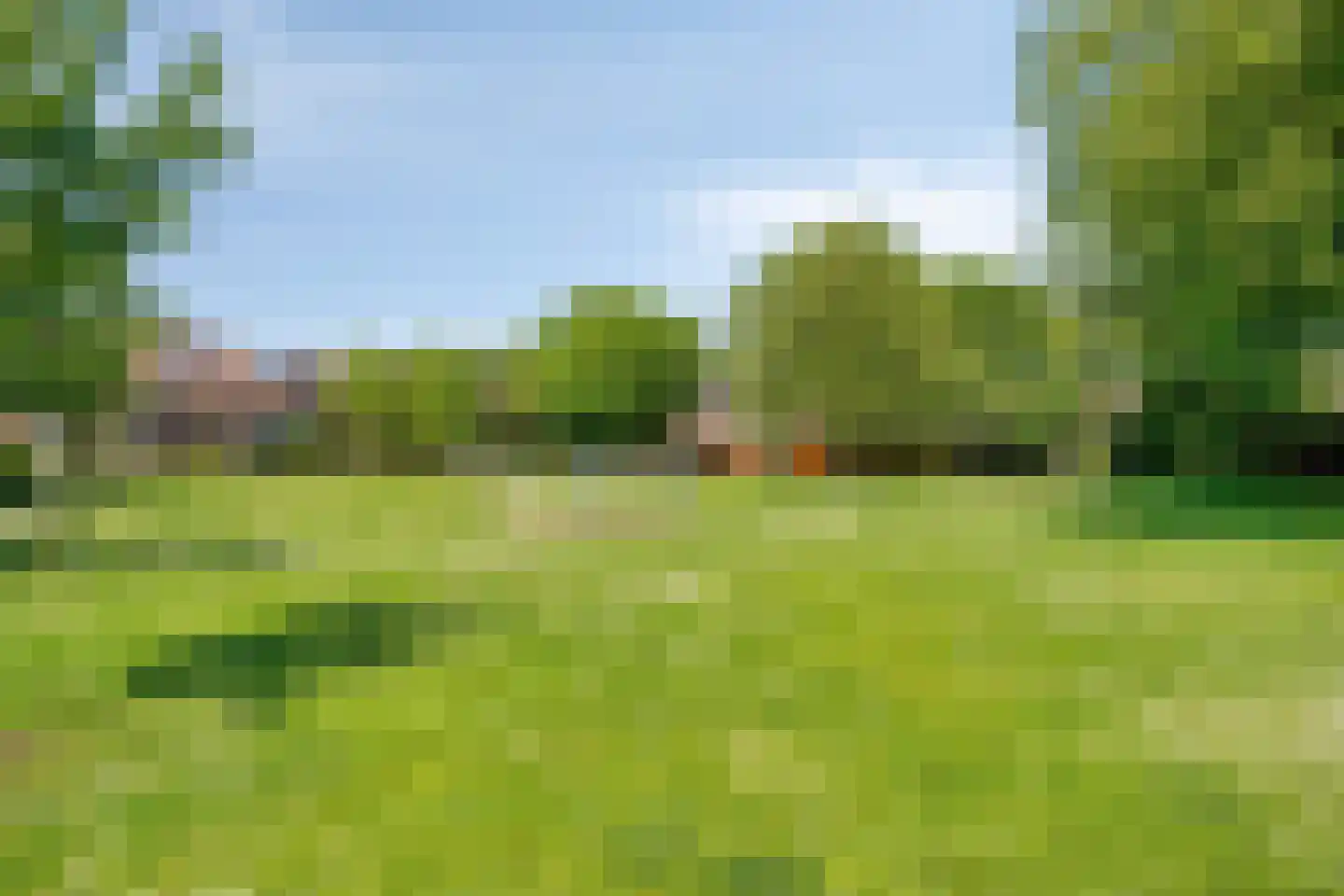 Zilvermeeuw 46 Oud-Beijerland thumbnail 42
