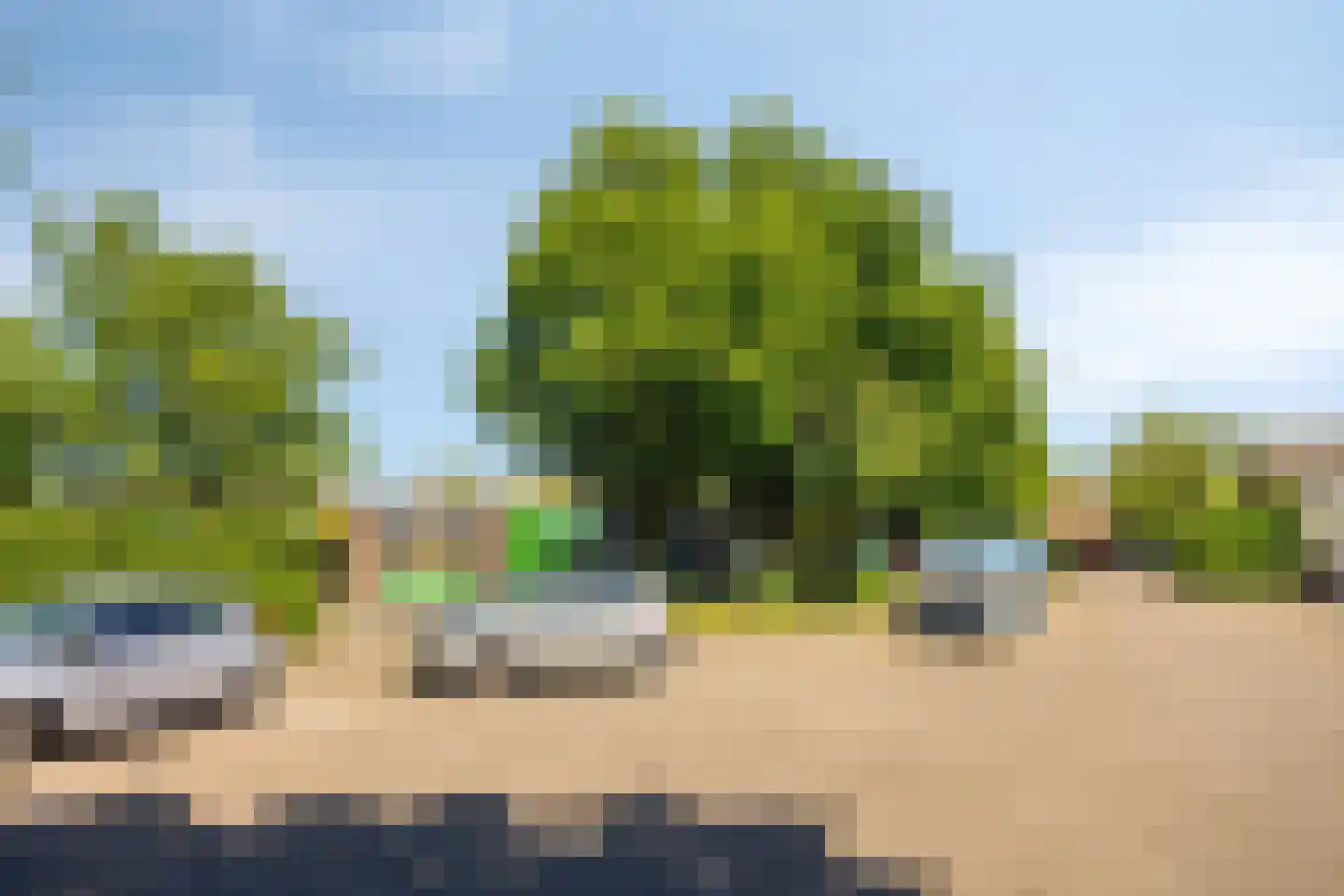 Zilvermeeuw 46 Oud-Beijerland thumbnail 43