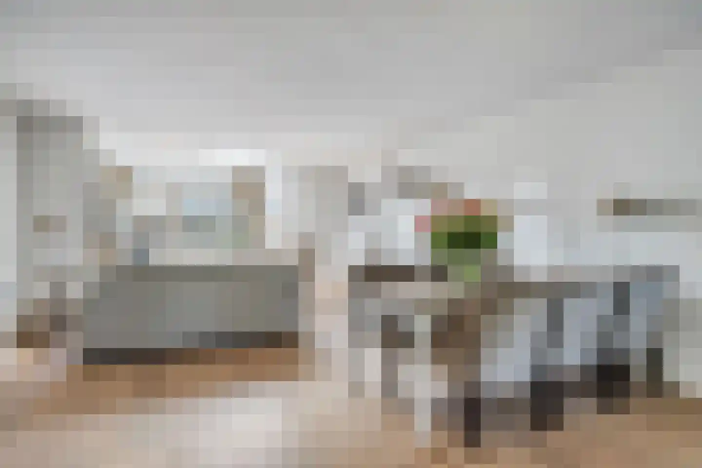 Zilvermeeuw 46 Oud-Beijerland thumbnail 7