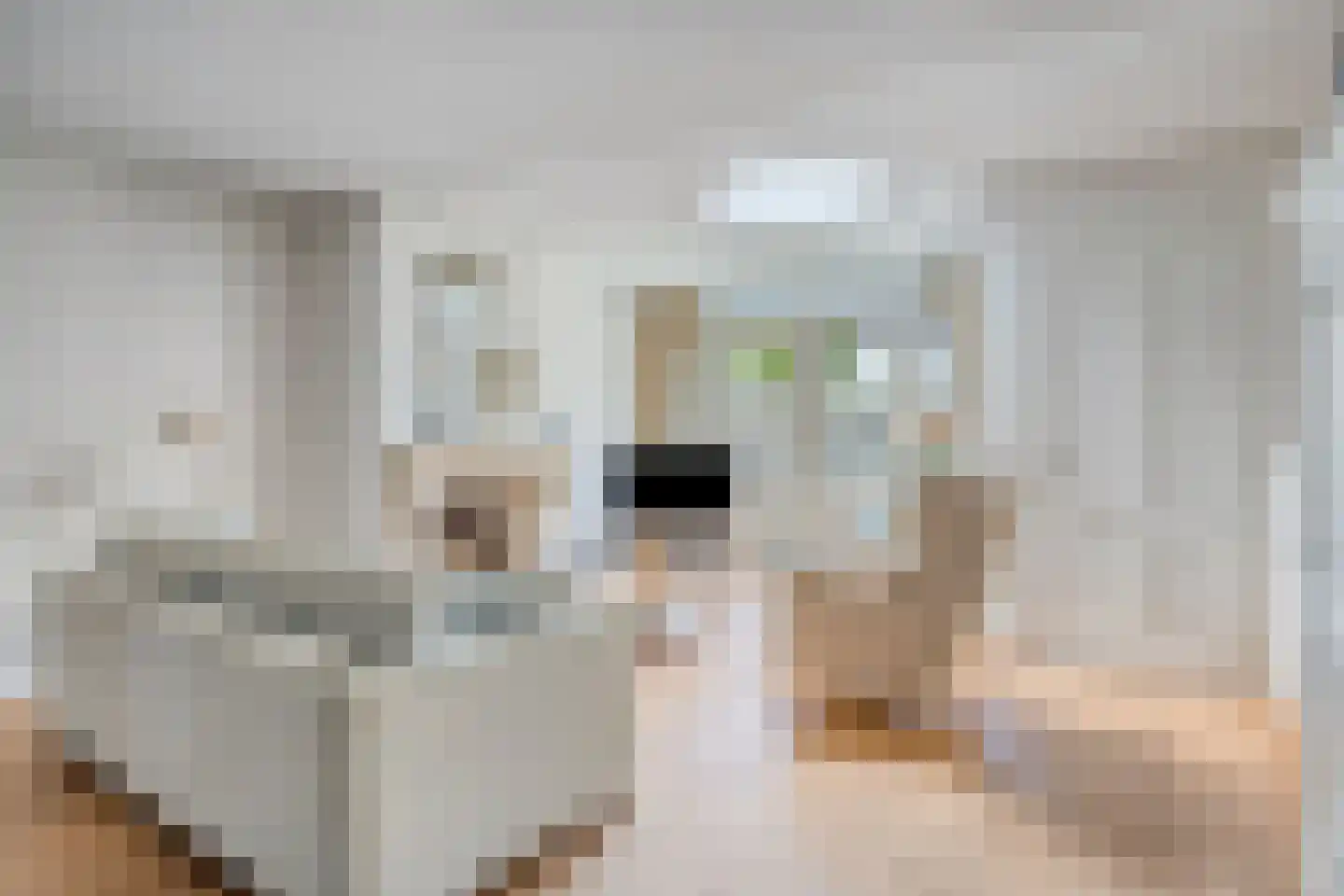 Zilvermeeuw 46 Oud-Beijerland thumbnail 8