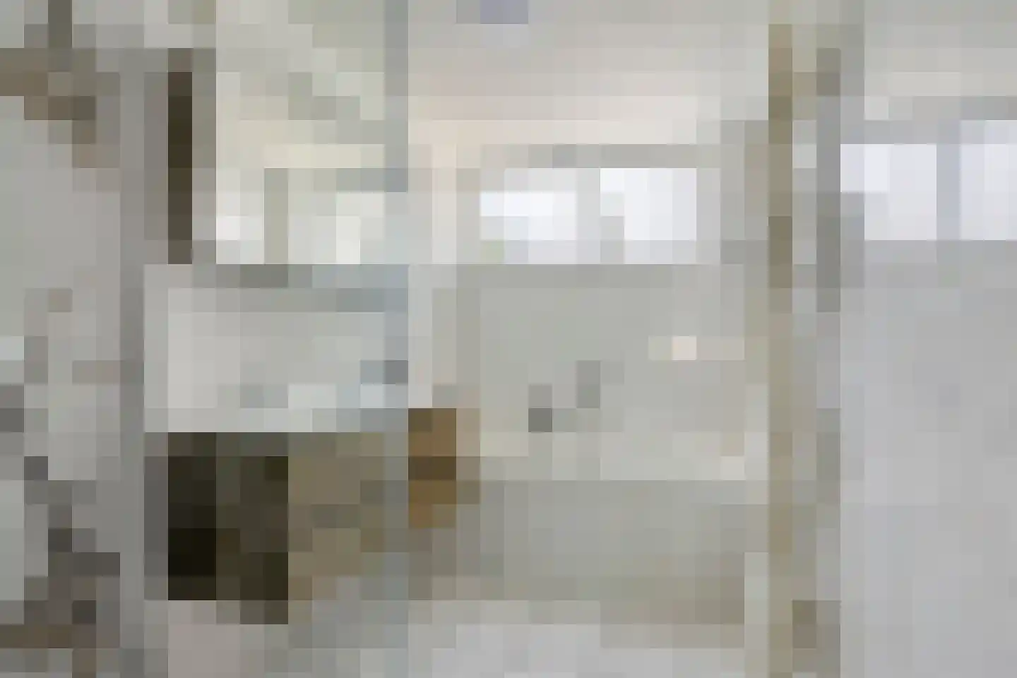 Zilvermeeuw 46 Zoutelande thumbnail 10