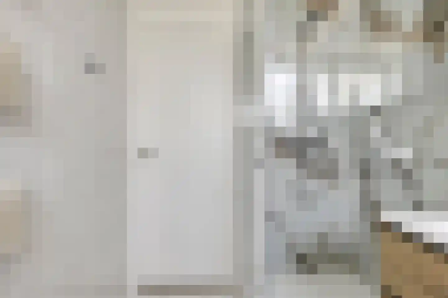 Zilvermeeuw 46 Zoutelande thumbnail 11