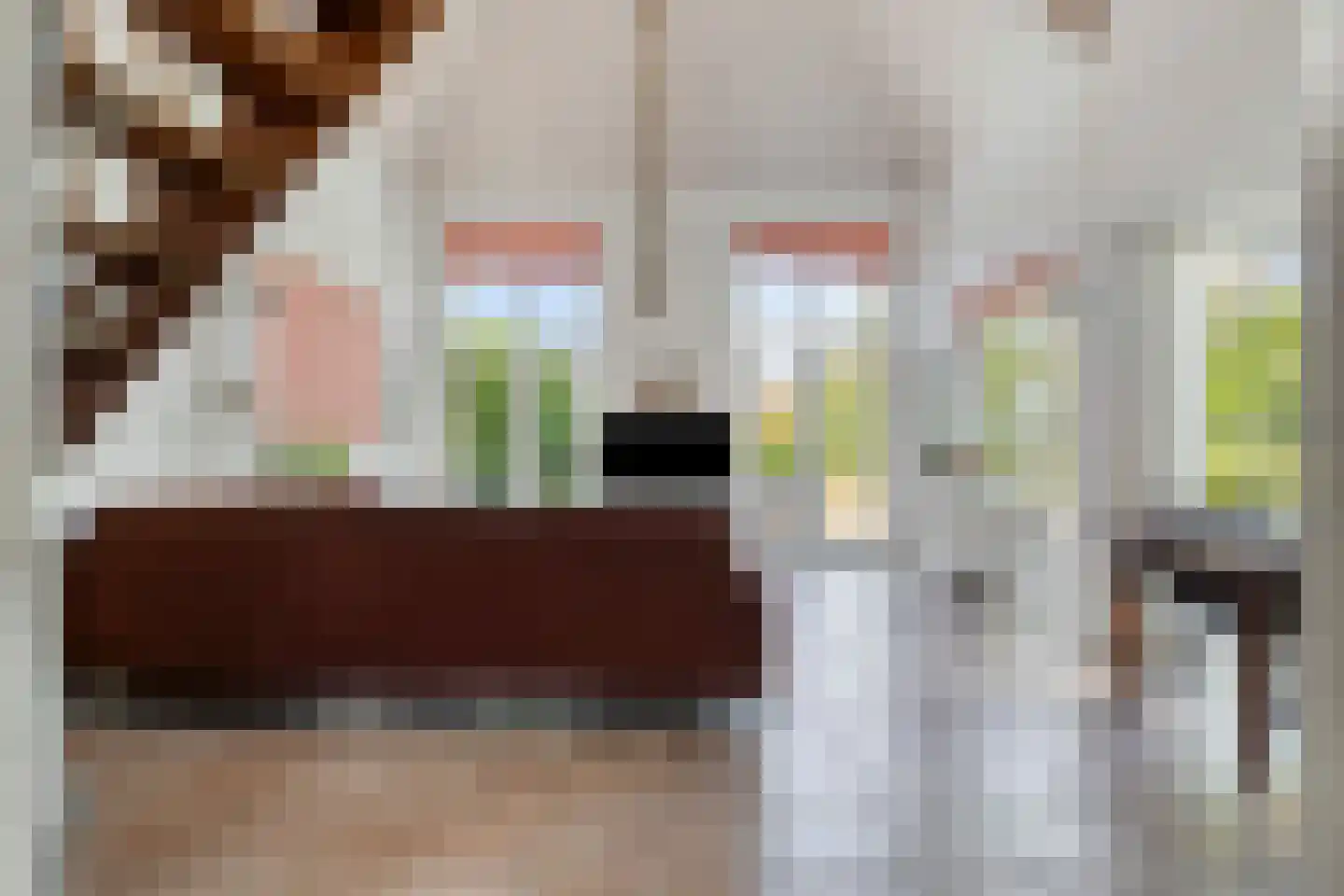Zilvermeeuw 46 Zoutelande thumbnail 12