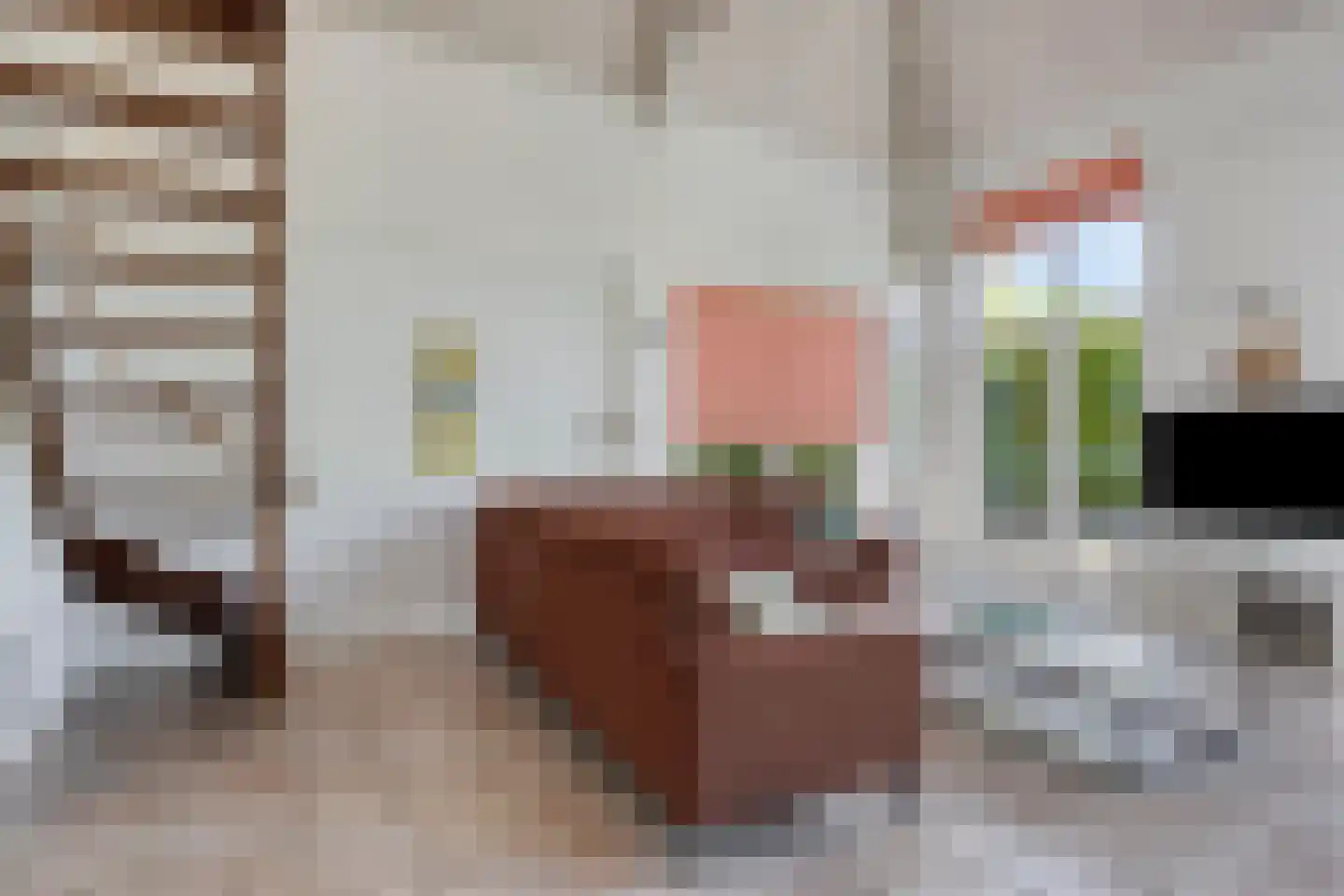 Zilvermeeuw 46 Zoutelande thumbnail 13