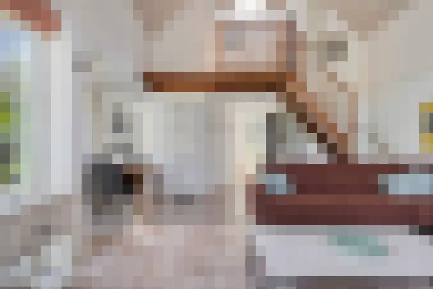 Zilvermeeuw 46 Zoutelande thumbnail 15