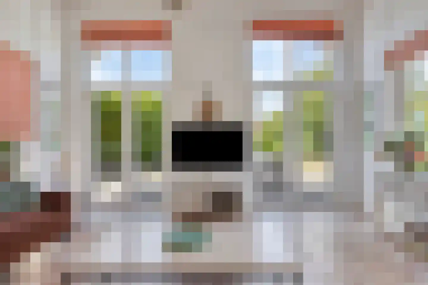 Zilvermeeuw 46 Zoutelande thumbnail 16