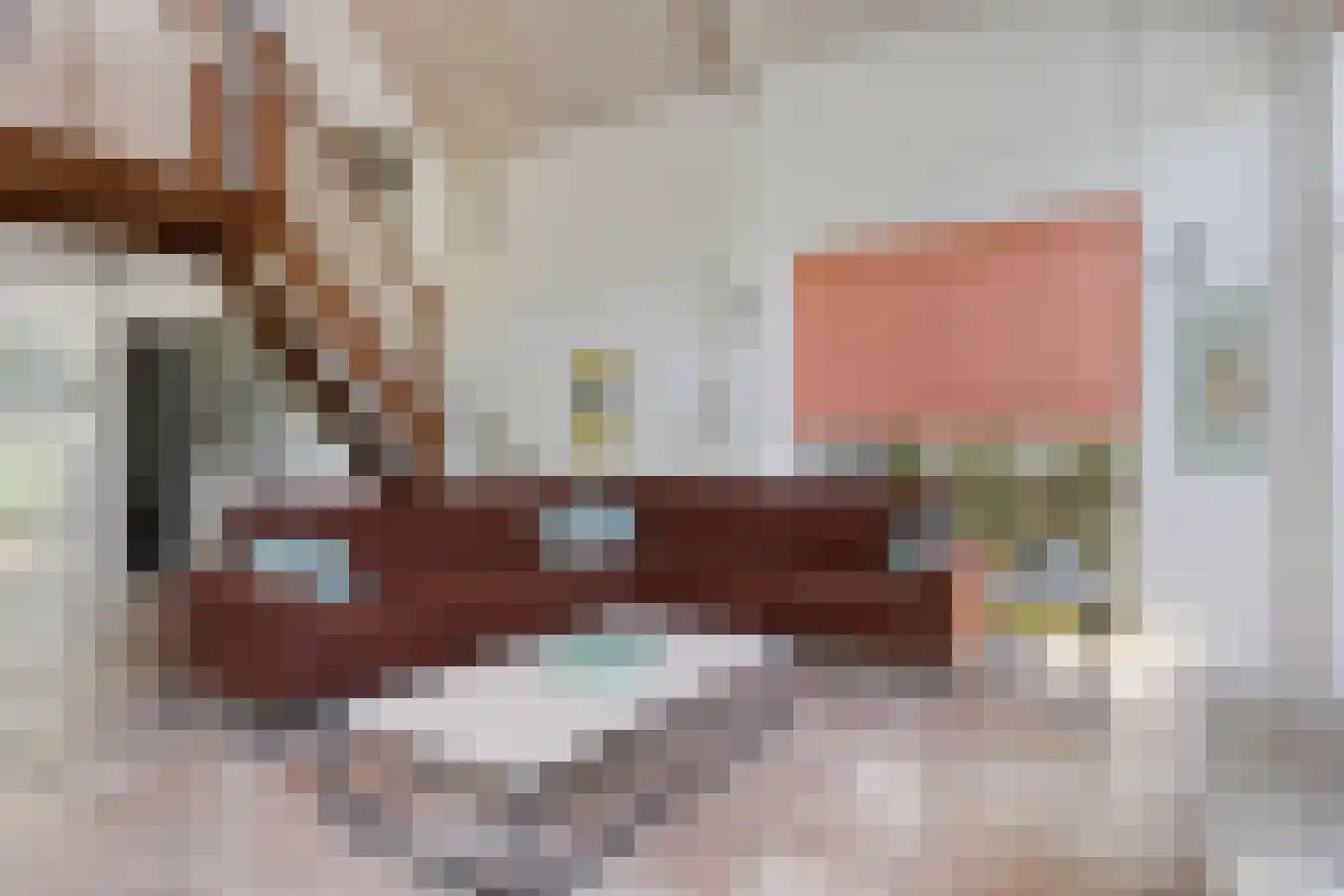 Zilvermeeuw 46 Zoutelande thumbnail 17