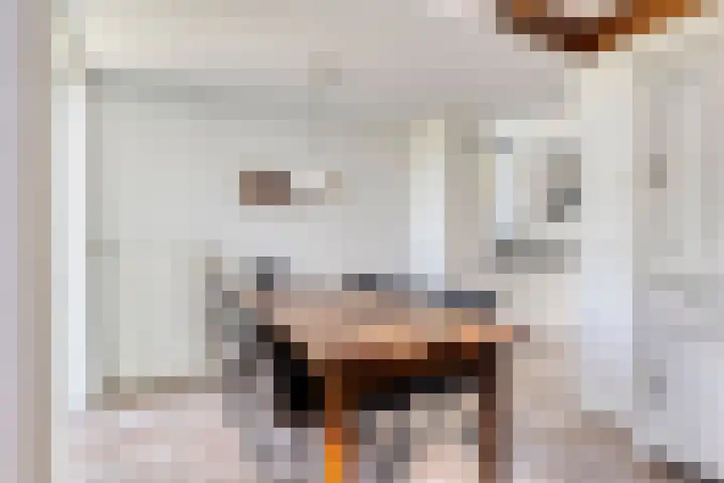 Zilvermeeuw 46 Zoutelande thumbnail 18