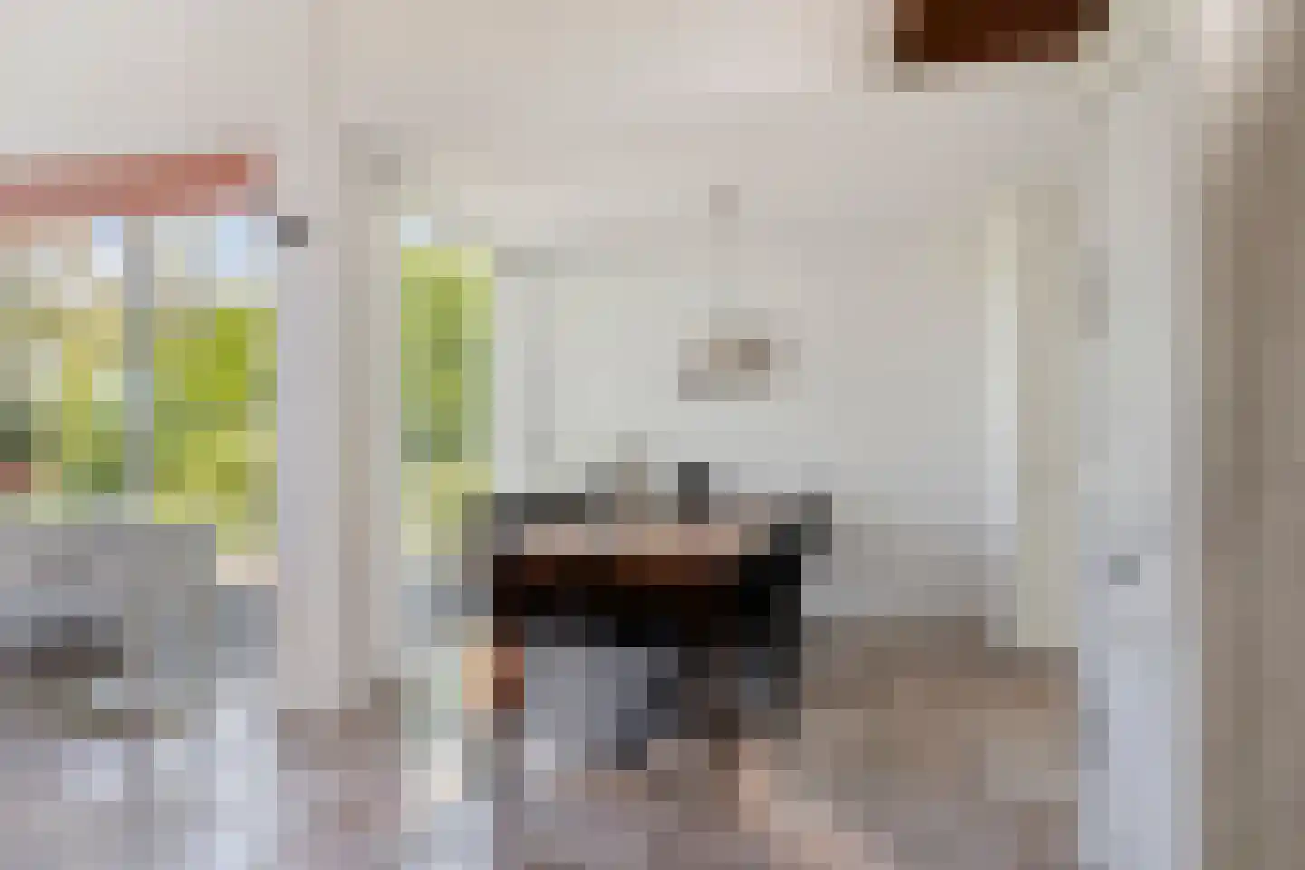 Zilvermeeuw 46 Zoutelande thumbnail 19