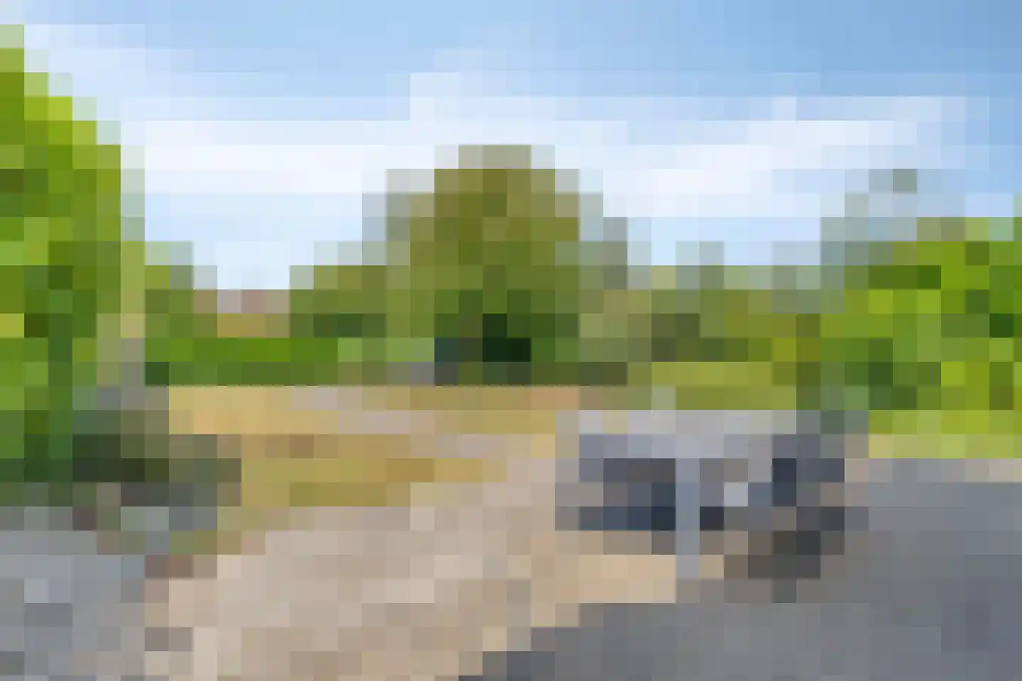 Zilvermeeuw 46 Zoutelande thumbnail 21