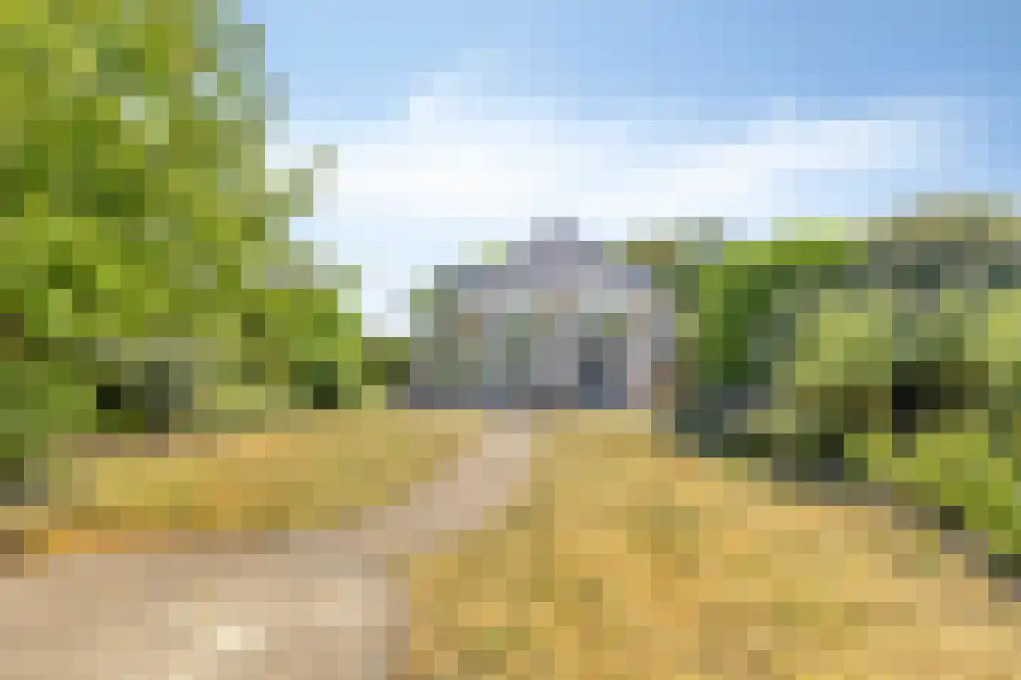 Zilvermeeuw 46 Zoutelande thumbnail 22