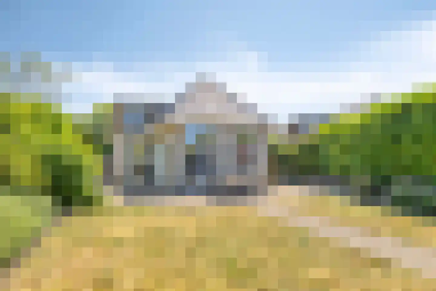 Zilvermeeuw 46 Zoutelande thumbnail 23