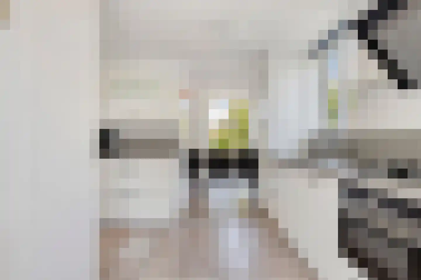 Zilvermeeuw 46 Zoutelande thumbnail 26